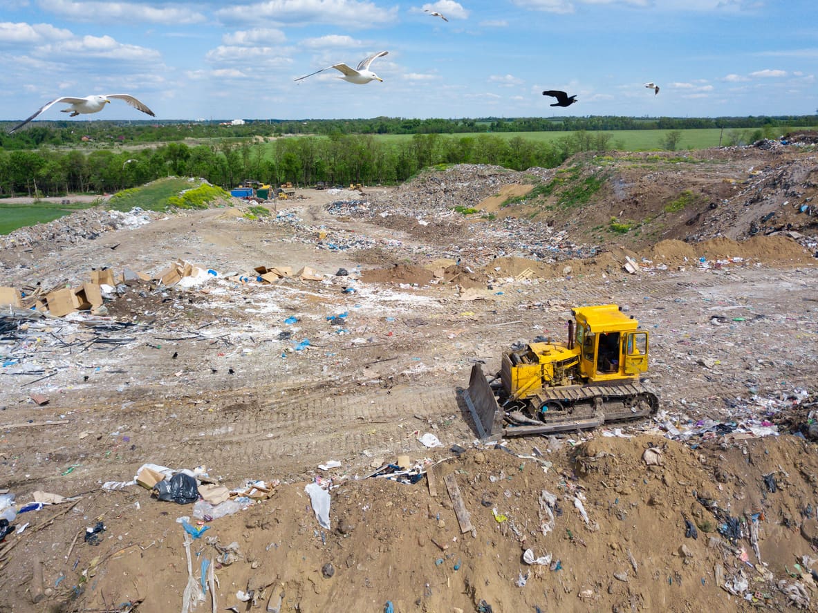 yellow tractor and gulls on dump. garbage collection